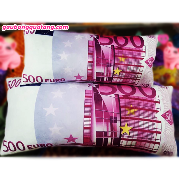 Gối Ôm 3D Hình Tờ Tiền EURO 